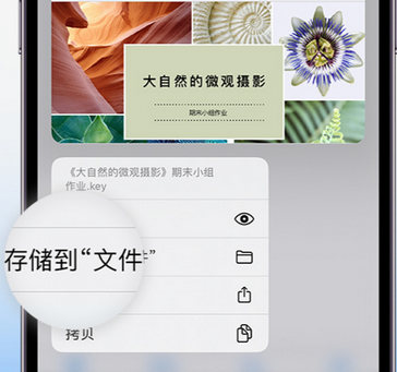 鱼峰apple维修中心分享iPhone文件应用中存储和找到下载文件