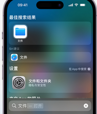 鱼峰apple维修中心分享iPhone文件应用中存储和找到下载文件 