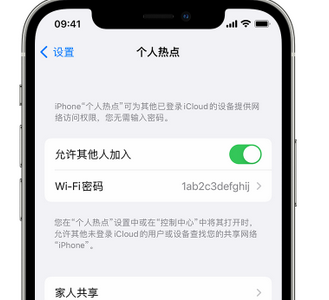 鱼峰apple服务站点分享iPhone上个人热点丢失了怎么办 