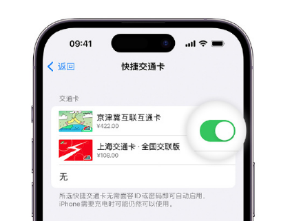 鱼峰apple维修点分享iPhone上更换Apple Pay快捷交通卡手绘卡面 