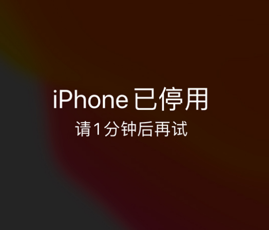 鱼峰苹果手机维修分享:iPhone 显示“不可用”或“已停用”怎么办？还能保留数据吗？ 