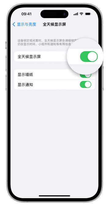 鱼峰苹果14维修店分享如何自定义 iPhone 14 Pro 常亮显示屏 