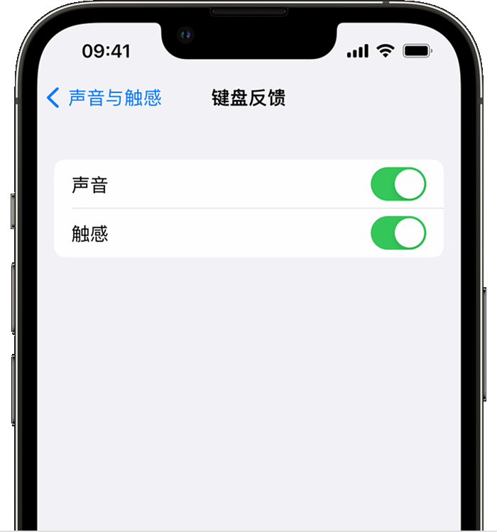 鱼峰苹果14维修店分享如何在 iPhone 14 机型中使用触感键盘 