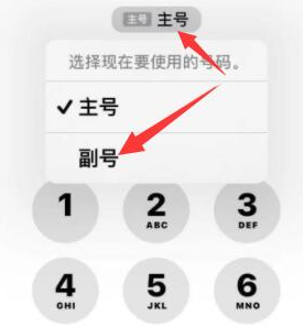 鱼峰苹果14维修店分享iPhone 14 Pro Max使用副卡打电话的方法 