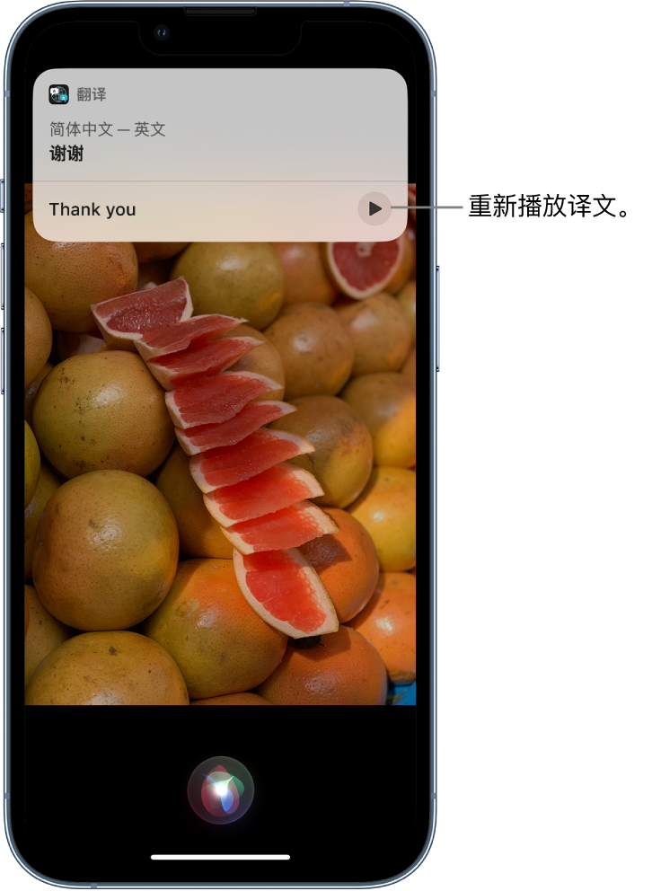 鱼峰苹果14维修分享 iPhone 14 机型中使用 Siri：了解 Siri 能帮你做什么 