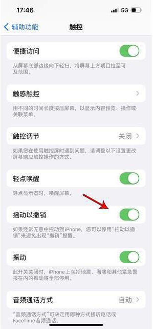 鱼峰苹果手机维修分享iPhone手机如何设置摇一摇删除文字 