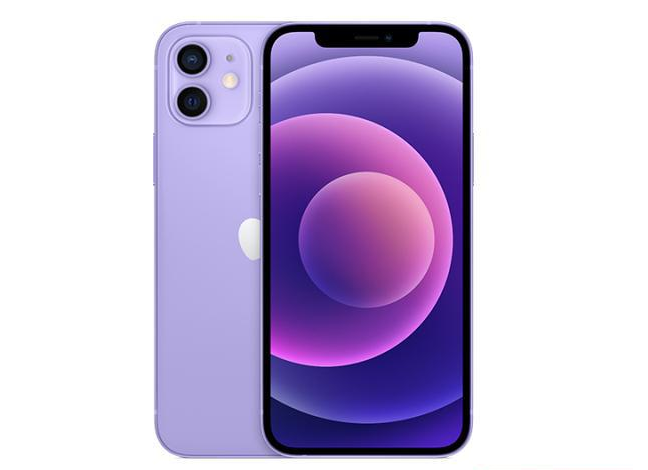 鱼峰苹果手机维修分享现阶段要不要入手紫色版iPhone12 