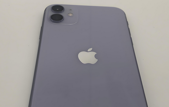 鱼峰苹果11系统维修分享iPhone11手机系统崩溃无法开机如何解决